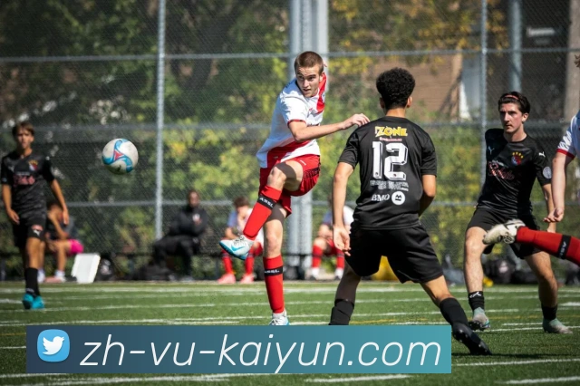 App Interface Preview