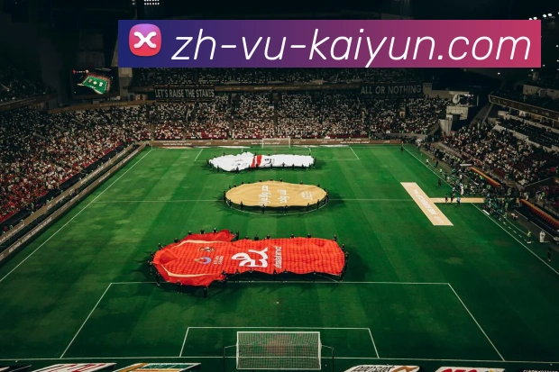 开云appAPP 封面图